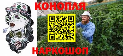 стаф Новодвинск
