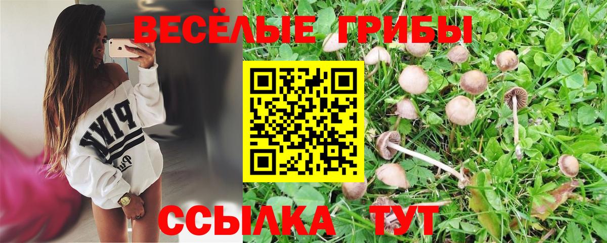 Галлюциногенные грибы Psilocybe  Галлюциногенные грибы Cubensis  где купить наркоту  Протвино  Вход с VPN 